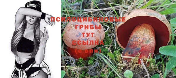 2c-b Аркадак