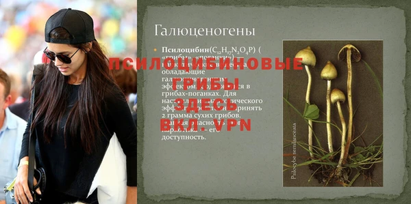прущий лед Алексин