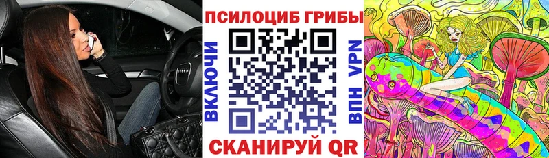 Псилоцибиновые грибы мицелий  Рославль 